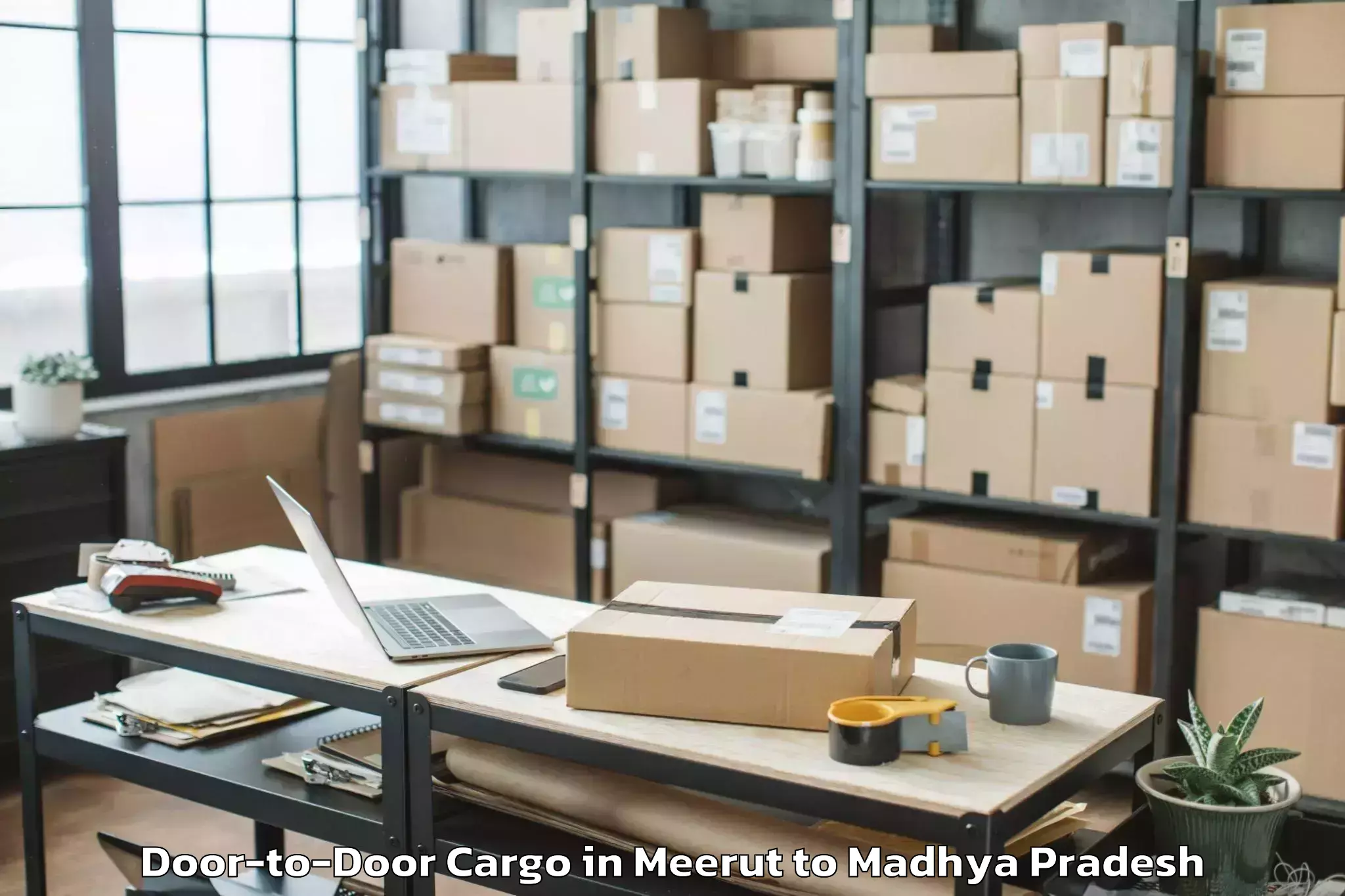 Easy Meerut to Murwara Door To Door Cargo Booking